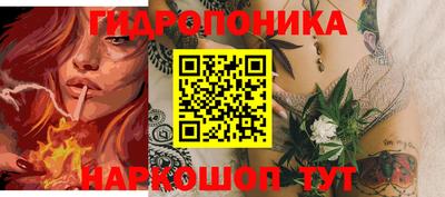 дмт Славгород