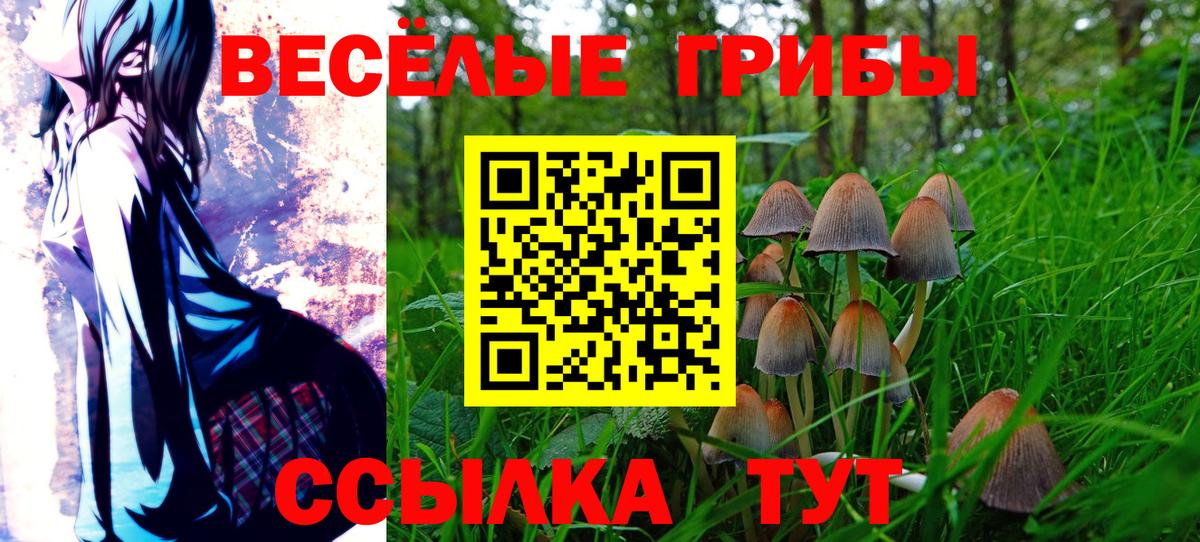 Богородск  Псилоцибиновые грибы Psilocybe  Вход с VPN  Галлюциногенные грибы Psilocybe 